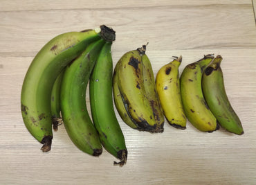 L'incroyable épopée des bananes !