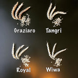 Farine Froment 78% semi-complète (T80) 5kg - "Les Grands Blés"