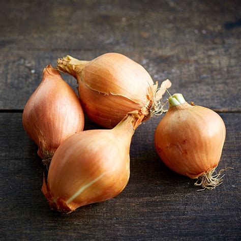 Oignons par 500g (CC)