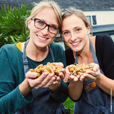 Pâtes des Frangines - Fusilli au chanvre belge par 100g (Bio)