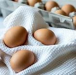 Oeufs (à la pièce)