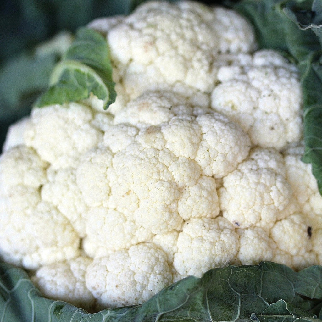 Chou fleur à la pièce (BE)