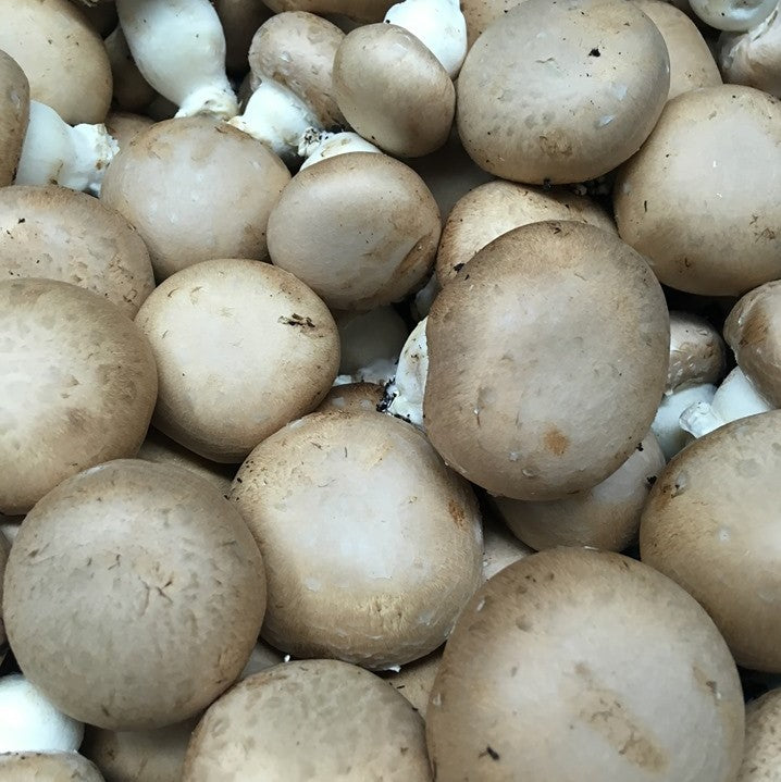 Champignons bruns par 100g (CC)