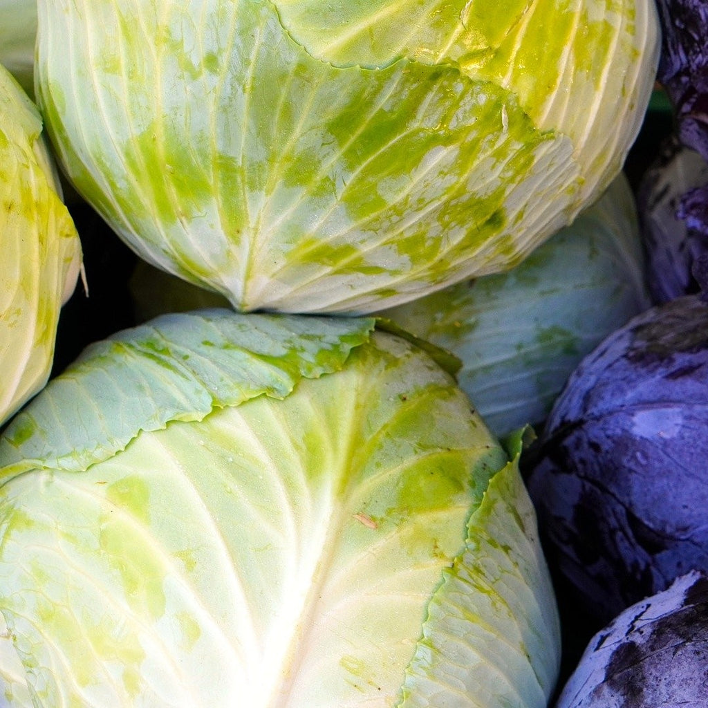 Chou blanc (1.90€/kg - +/- 500g) (CC)