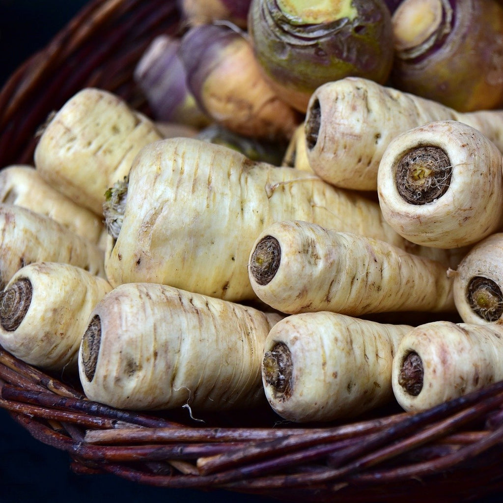 Panais par 500g (CC)