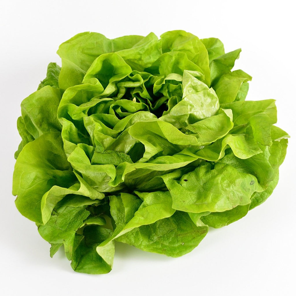 Salade de la semaine à la pièce (CC)