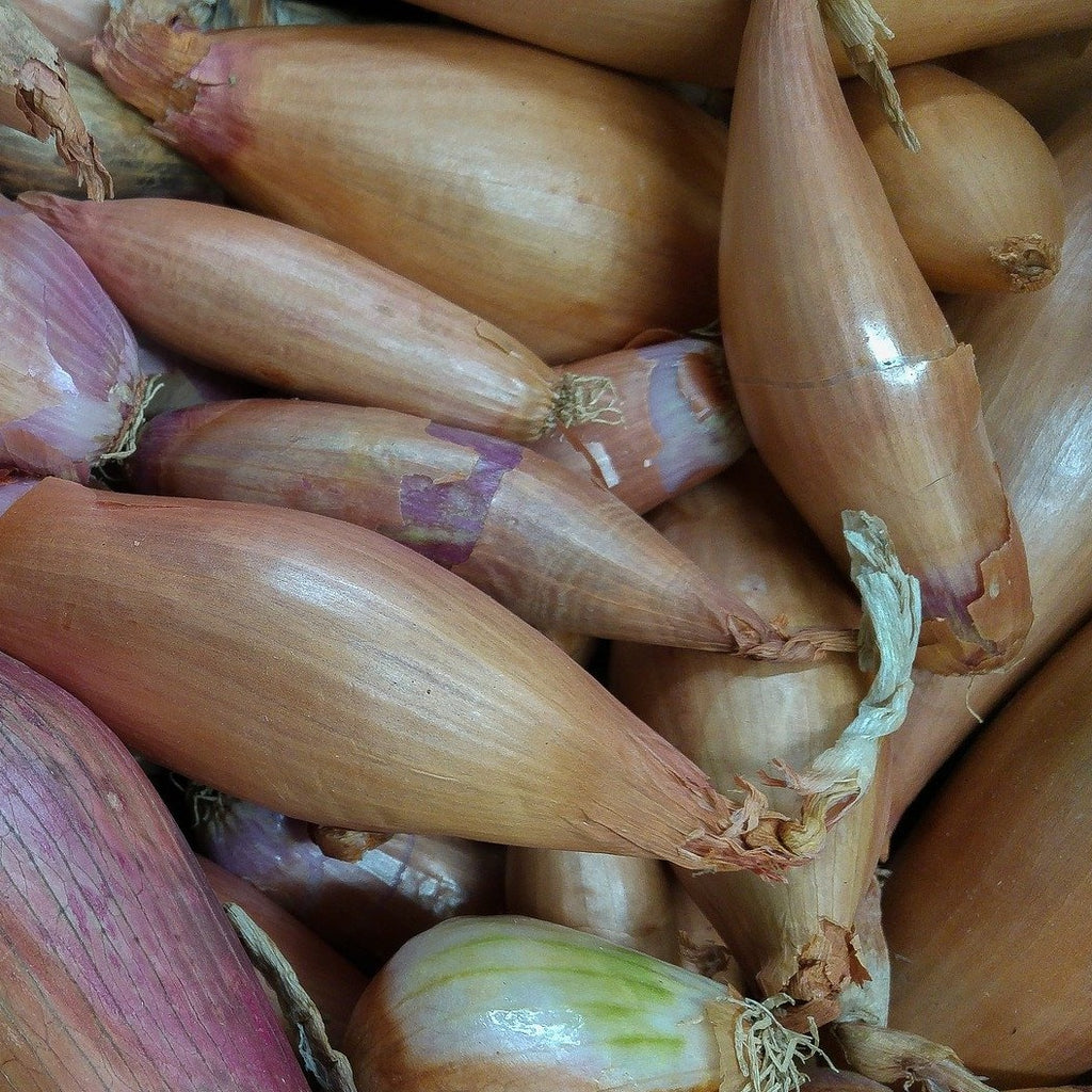 Echalotes par 100g (CC)