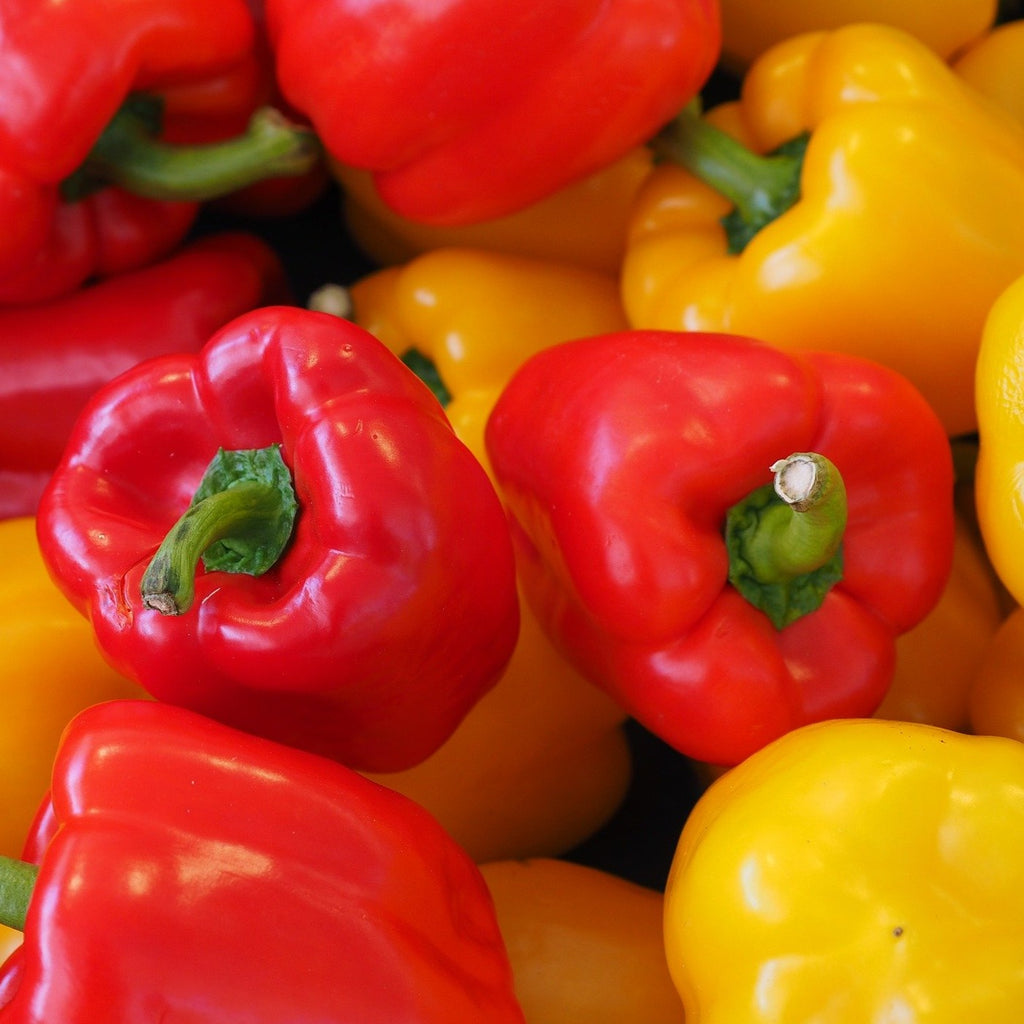 Poivron par 500g (BE)