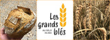 Farine Froment 65% blanche (T65) 5kg - "Les Grands Blés"
