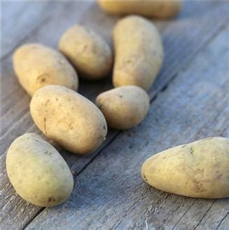Pommes de terre fermes par 500g (CC)