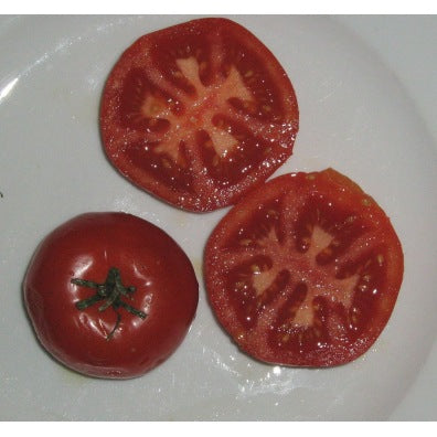 Tomate Potager de Vilvorde (graines) - "Semailles"